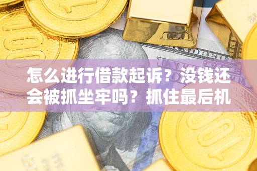 北京怎么进行借款起诉？没钱还会被抓坐牢吗？抓住最后机会！