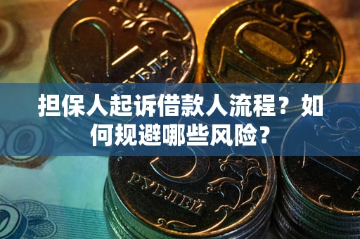 北京担保人起诉借款人流程？如何规避哪些风险？