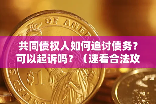 北京共同债权人如何追讨债务？可以起诉吗？（速看合法攻略）