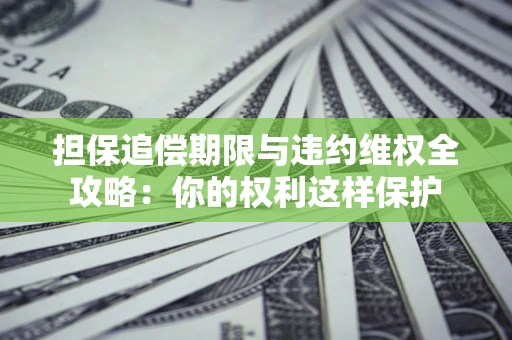 北京担保追偿期限与违约维权全攻略：你的权利这样保护