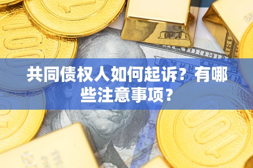北京共同债权人如何起诉？有哪些注意事项？